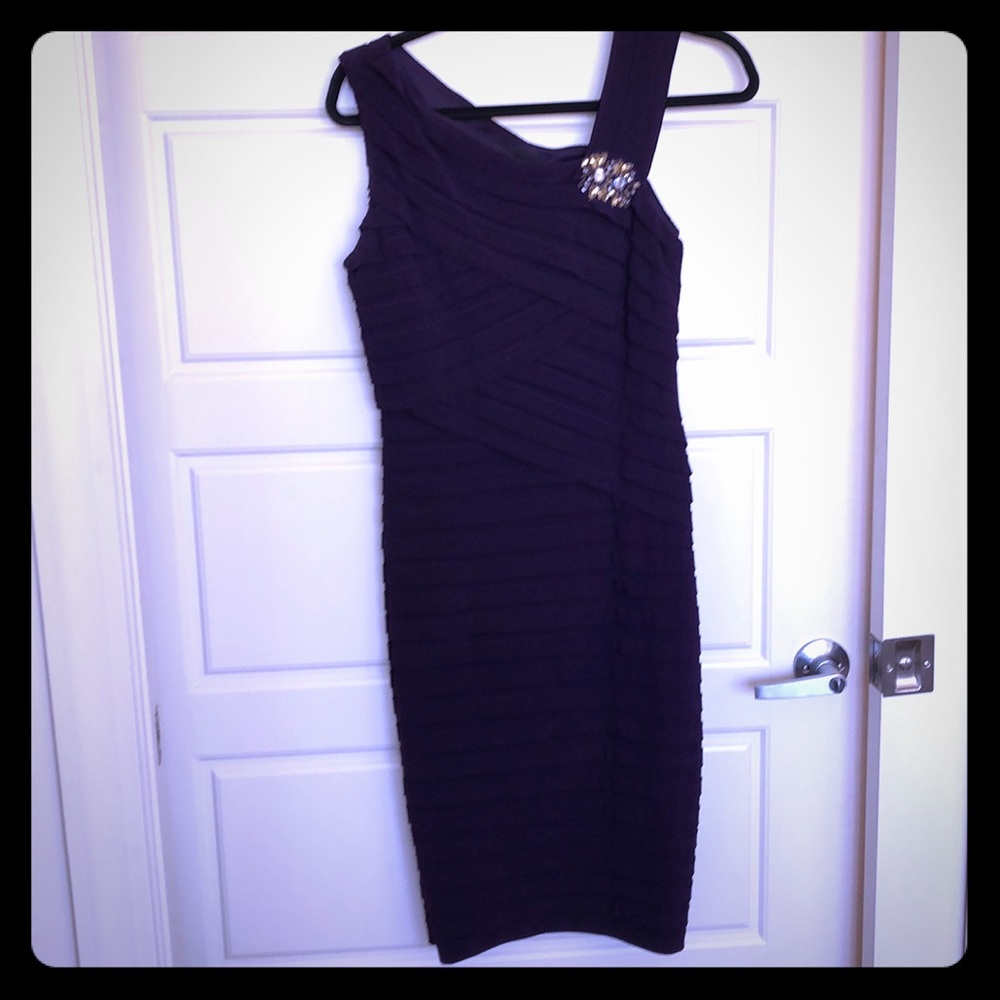Egg Plant Purple Party Dress.